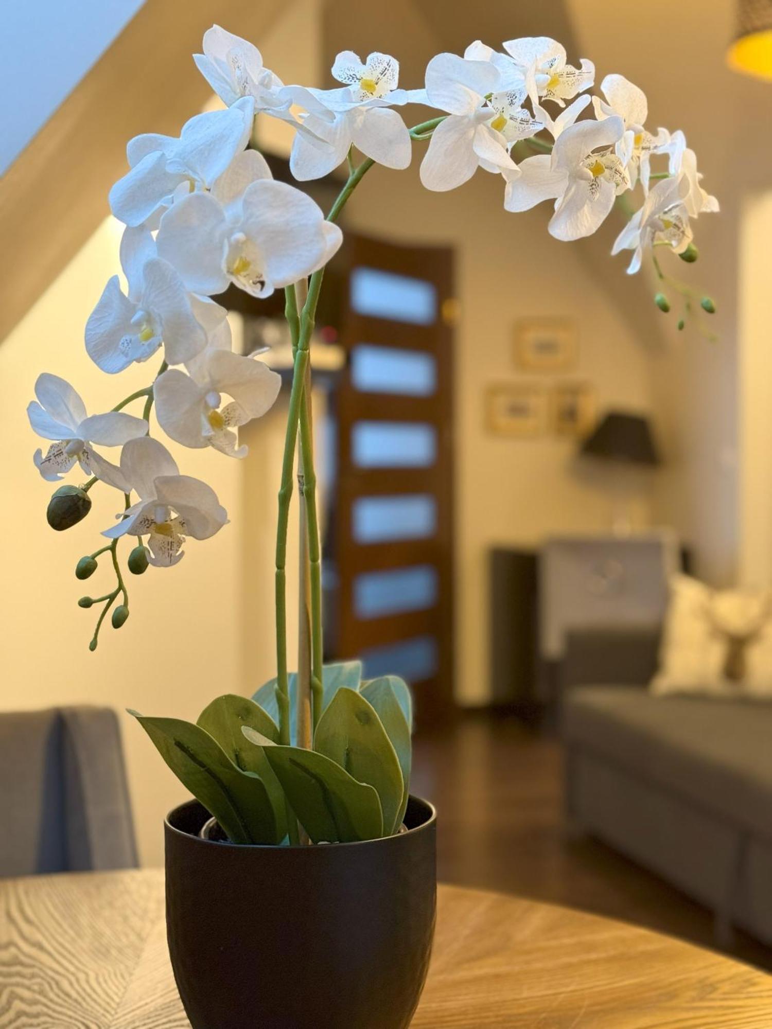 Apartament Glamour I Zakopane Exterior foto